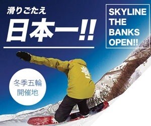 プロが高クオリティバナーを迅速に制作します 現役バナーデザイナーにお任せ！ イメージ3