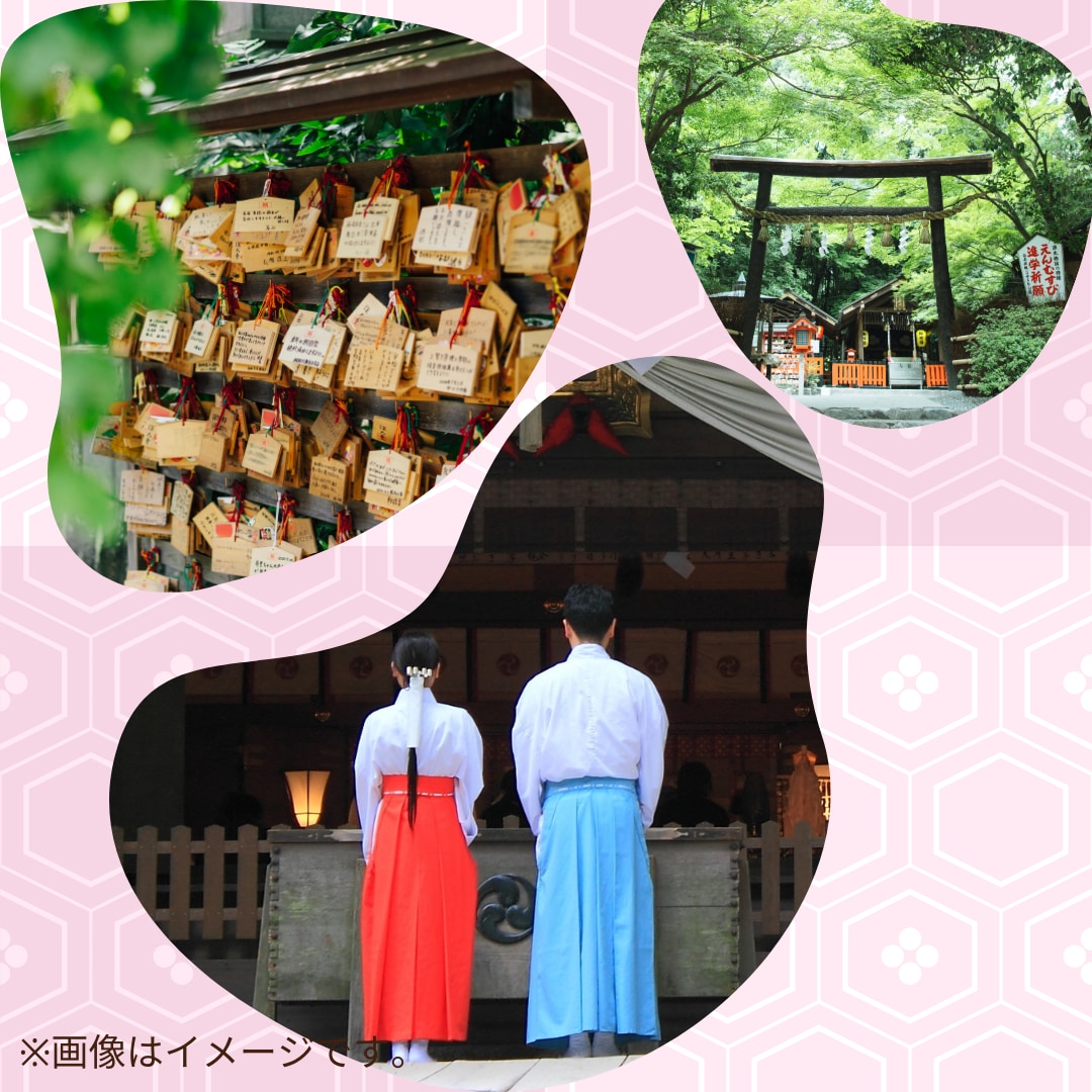 お寺の相談役が15項目のおみくじを引かせて頂きます あなたを導くおみくじで、自らを守る言葉と出会えますように… イメージ3
