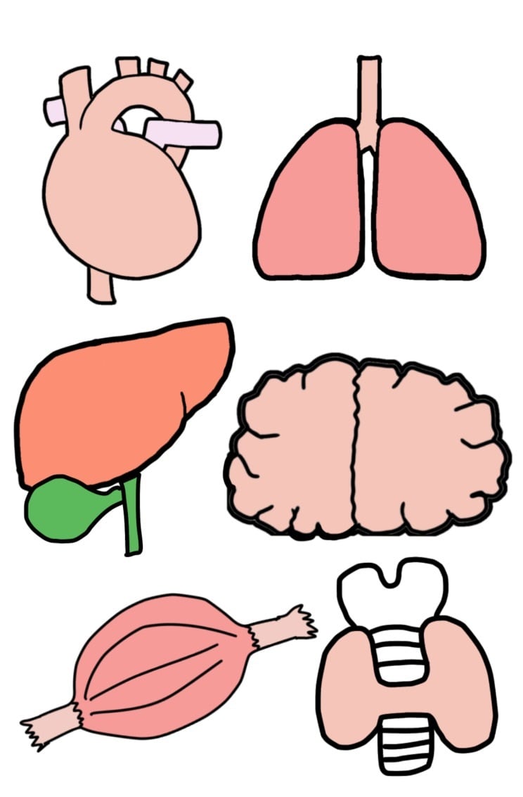 ゆるい医療イラスト作成します 商用可能！パンフレットやSNSにいかがでしょうか？ イメージ1