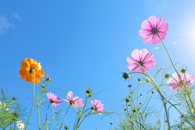 24時間♡愚痴や恋バナも大歓迎♡ゆるっと癒します チャット|24時間|雑談|なりきり|彼氏役|なんでも◎ イメージ5