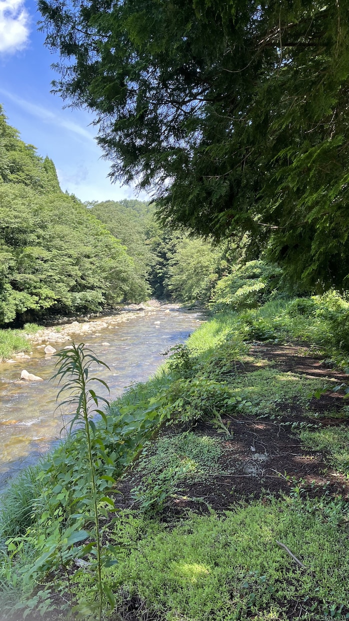 田舎起業！デザイン思考と経験でアイデアを創ります 田舎起業1年で年収1千万円へ。田舎で稼ぐためのノウハウ相談。 イメージ1