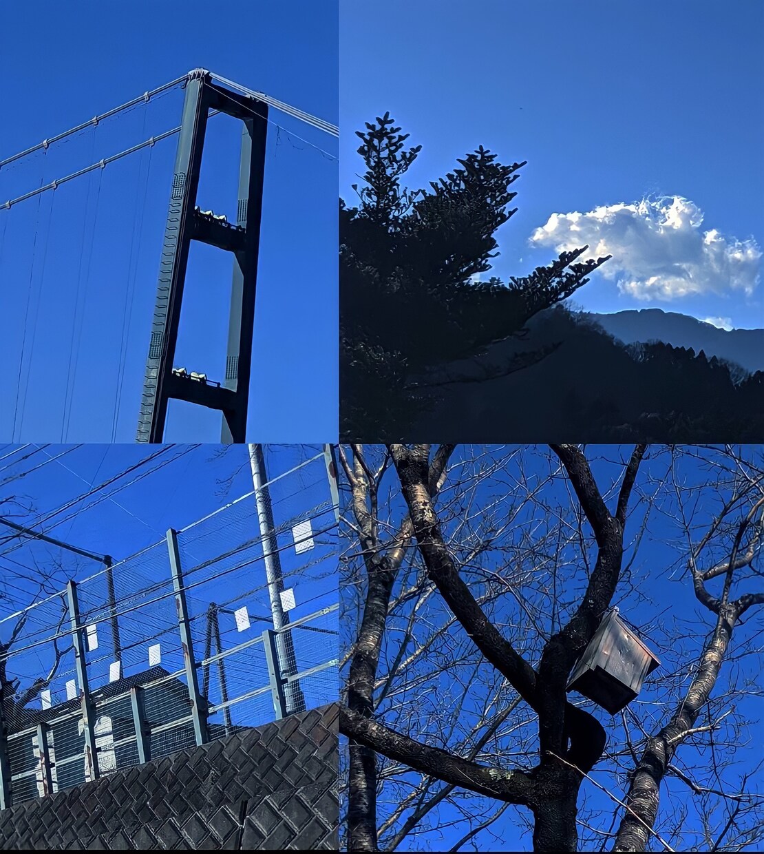 綺麗で雰囲気のある4枚写真を制作します 綺麗なものが好きな方、雰囲気のある写真が好きな方など向け イメージ6