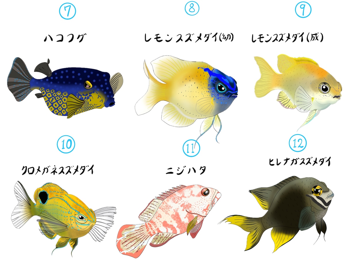 すぐにお渡し！完成済みのお魚イラストお売りします ダイビングインストラクター目線での生き物の描き方です イメージ2