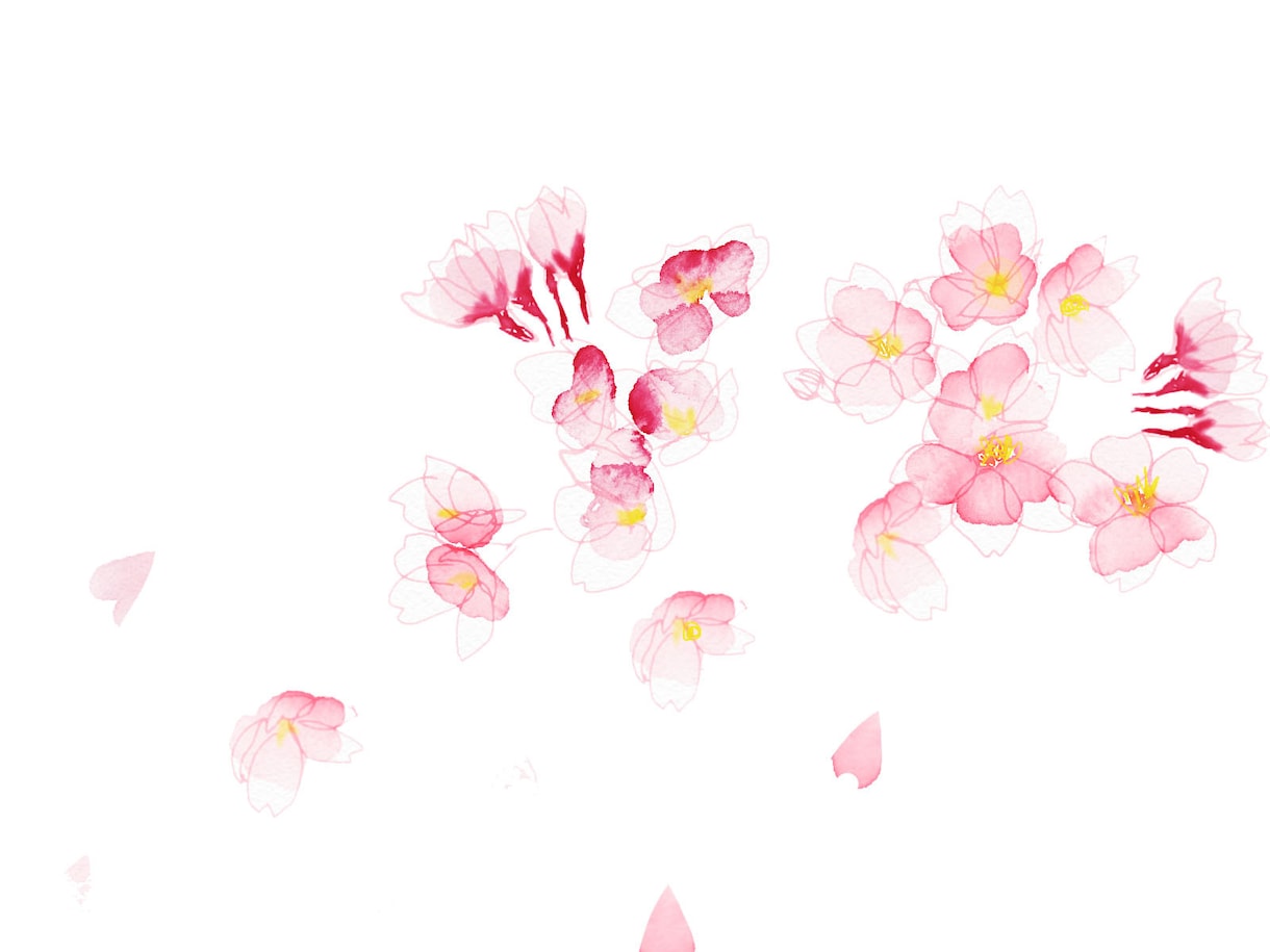 桜のイラストを描きます 想いが咲く、桜の一枚をお手元に イメージ4