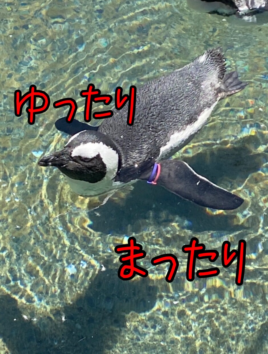 誰かと話したいかた！どんな内容でもお話し聞きます 短時間でも大丈夫！どんな内容でもOK!優しくお話しききます！ イメージ3