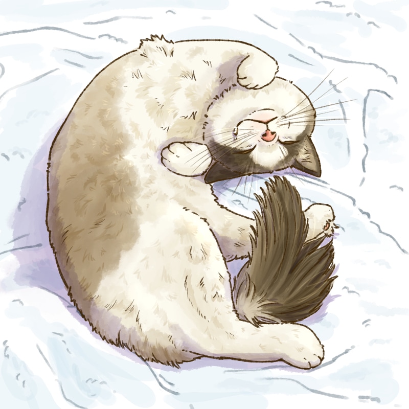 表情豊かなかわいい動物描きます ペットの似顔絵も作成可能です！ イメージ1