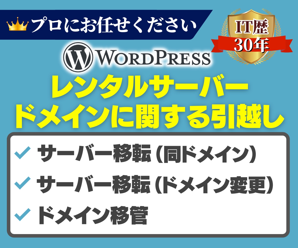 プロにお任せ！サーバー移転、ドメイン移管承ります 移転・移管300ドメイン以上！評価5.0のプロが対応 イメージ1