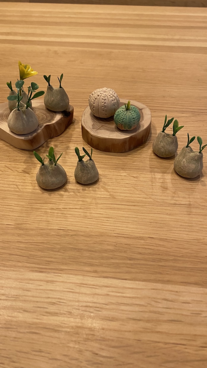 塊根植物フィギュアつくります 木製粘土や小物で、塊根植物の世界を楽しみませんか！ イメージ1