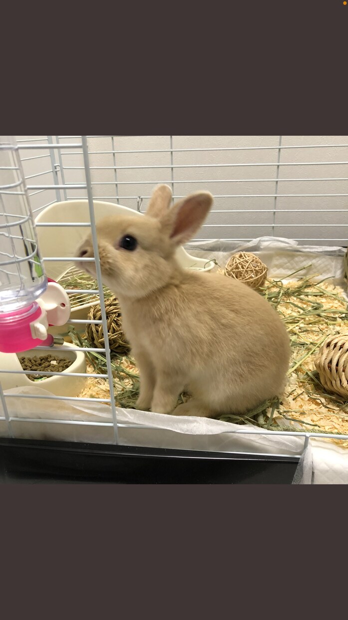 1ヶ月のあいだ子育ての愚痴を聞きます あなたの愚痴を聞かせてください イメージ1