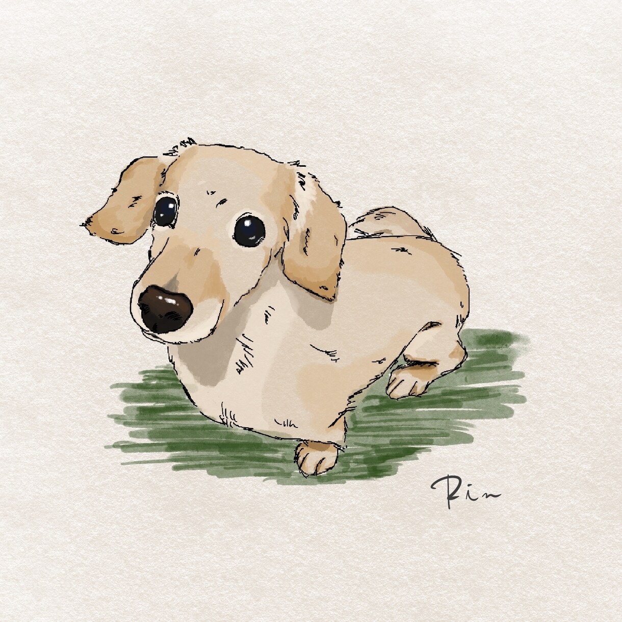 うちの子イラストお描きします 日常にイラストを♪心を込めて描かせていただきます！ イメージ8