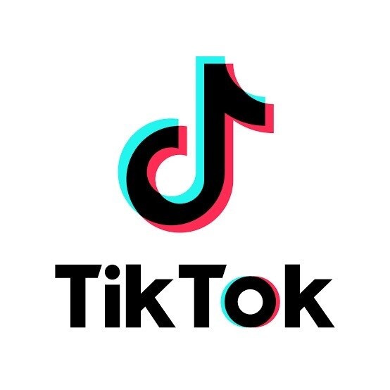 TikTokアカウントを運用して集客します TikTokフォロワーを増やしたい方！ イメージ1