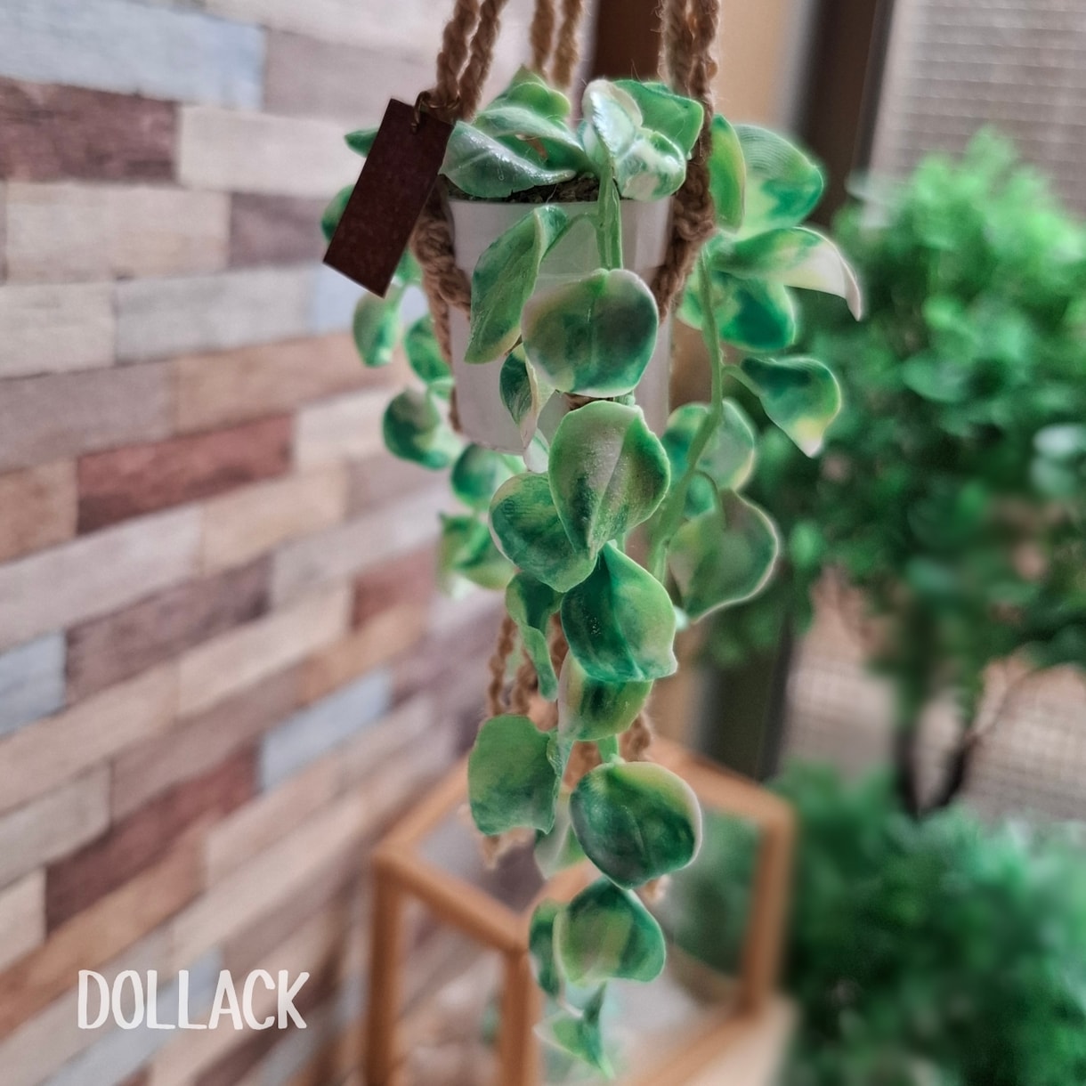 ミニチュア観葉植物販売します ドールハウスサイズのハンギングミニチュアポトス イメージ3