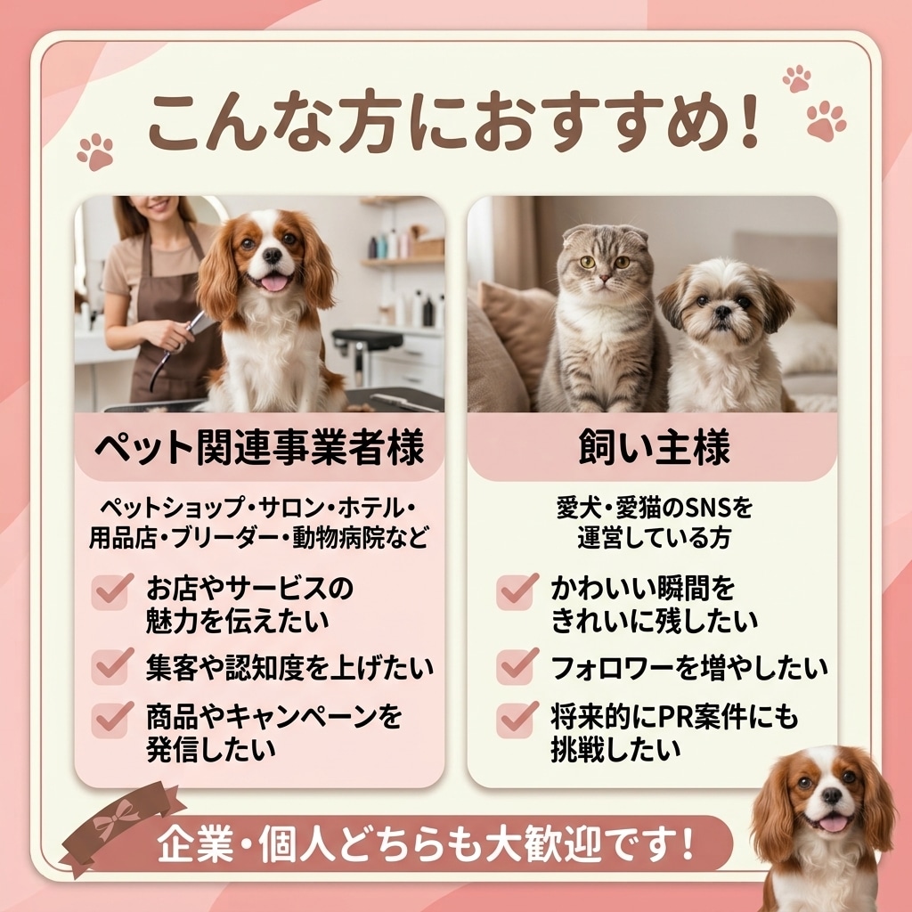 ペット関連のSNS運用を代行します ペット関連事業者様のSNS運用を丁寧にサポートします イメージ4
