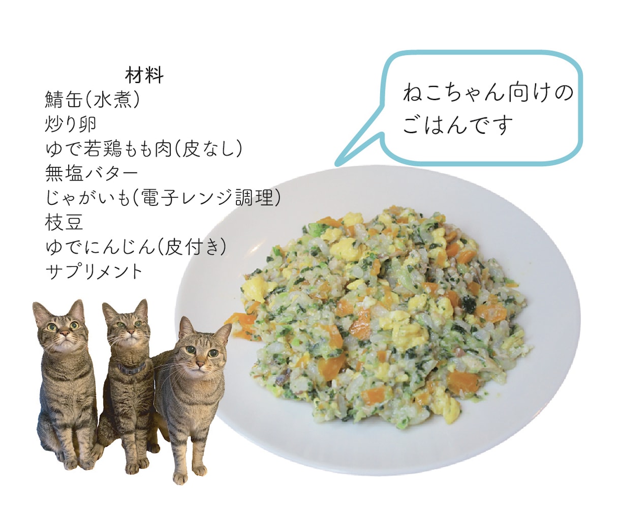 がんの子向けの手作りごはん設計します がんになったわんちゃんねこちゃん向けのレシピを設計します イメージ4