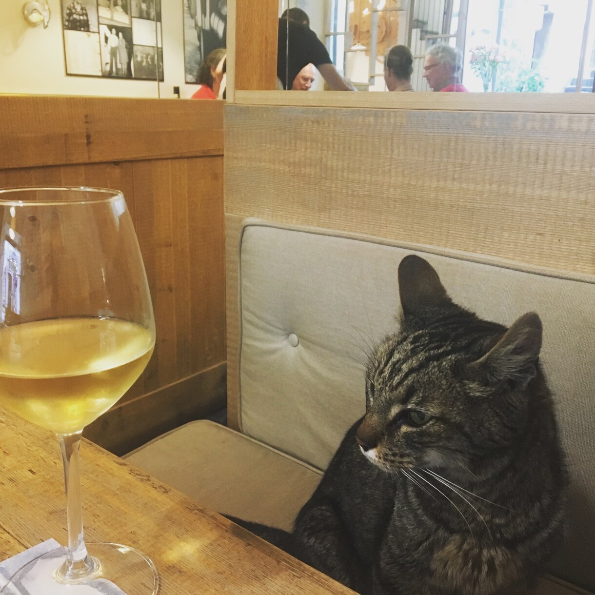 イタリア旅行のアドバイス致します 初イタリアなら、知っていれば安心！楽しい！効率よし！ イメージ6