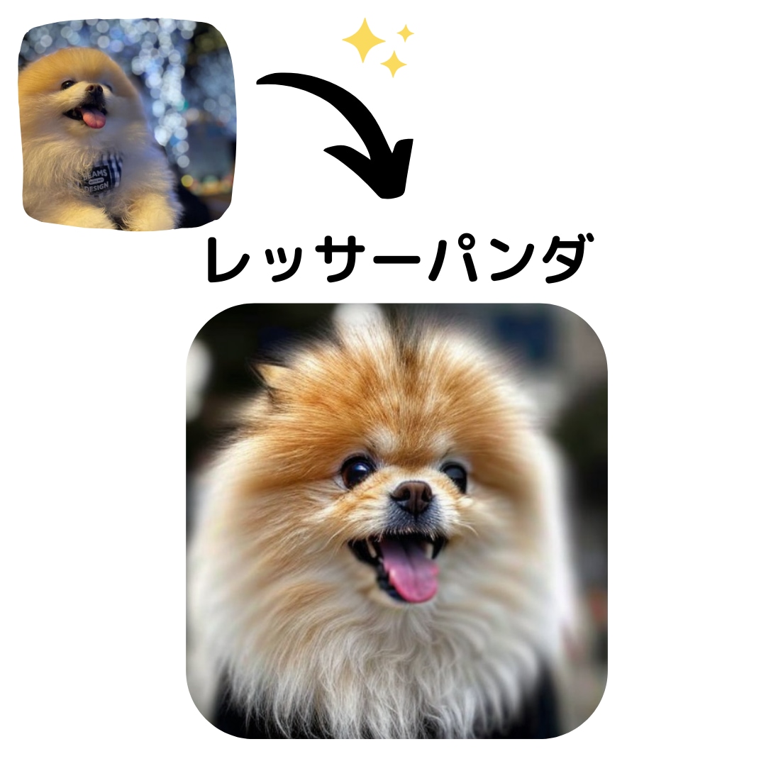 ペットを他の動物にしちゃいます あなたのペットがもし「パンダ」だったら！？ イメージ4