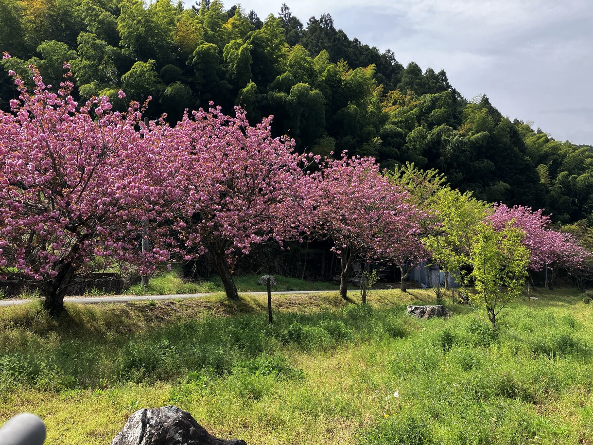 辛い気持ちの整理手伝います 詐欺被害者に共感し寄り添います。独りで抱え込まないで。 イメージ4