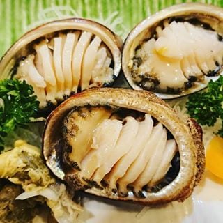 高知の歩き方、楽しみ方教えます 高知の旅行についてアドバイスします。 イメージ2