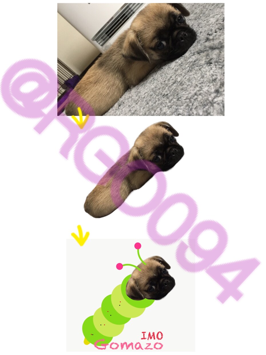 あなたの･ペット･子供･家族の画像をあなたのイメージ通りに変身させます( ´﹀` ) イメージ1