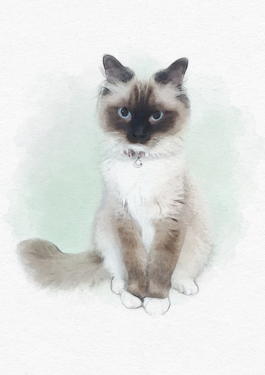 ペットの素敵な似顔絵お作りします 可愛いペットの写真が水彩画風のイラストに♡ イメージ2