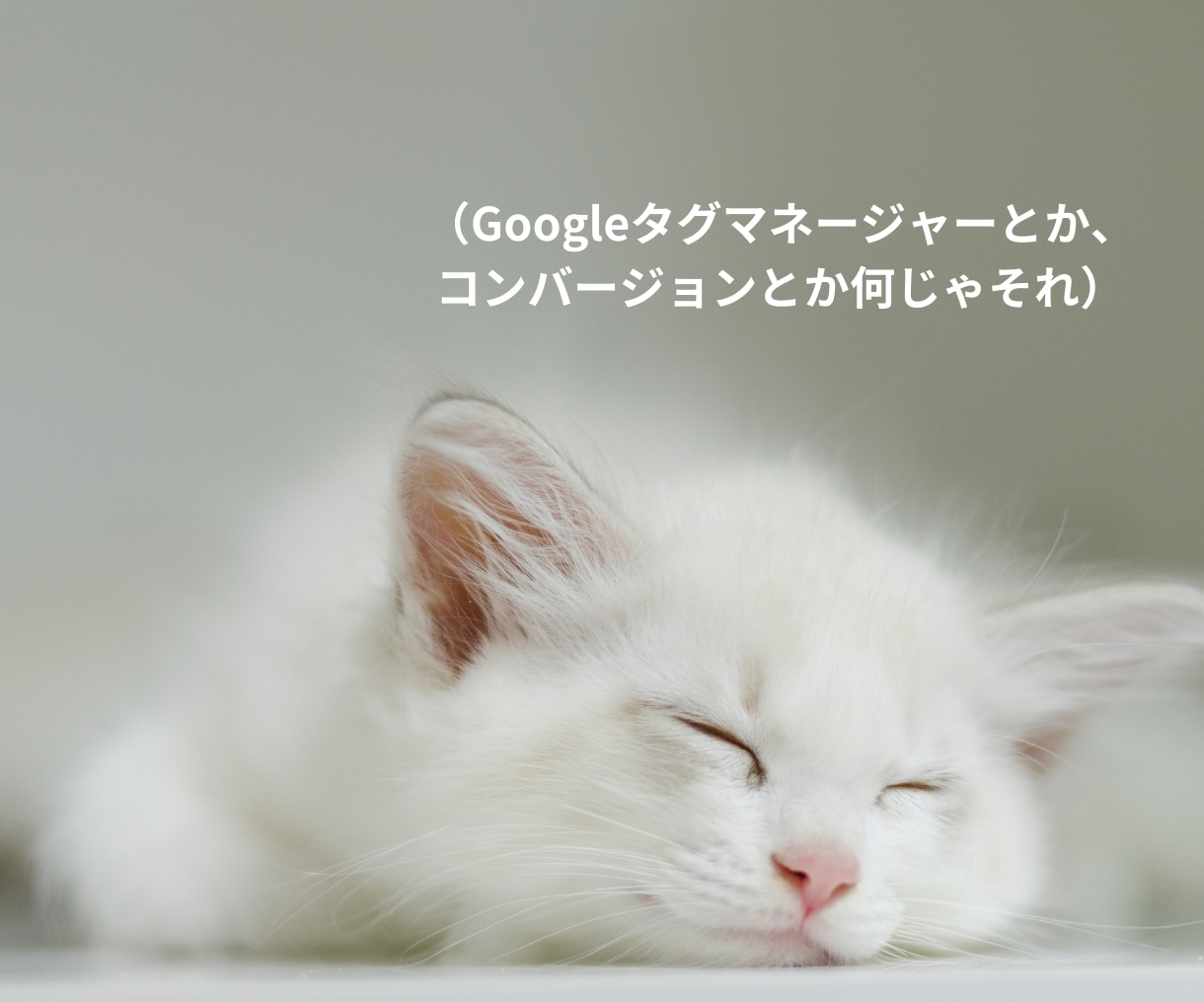 計測環境のご相談承ります Google広告やGA4も最短即日対応。今すぐに相談ください イメージ3