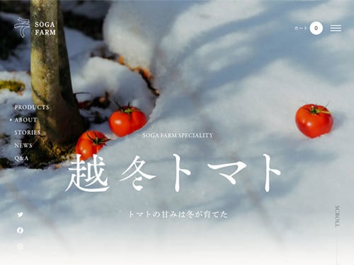 破格の値段でコーティング代行受け付けます デザイン通りにレスポンシブ対応の静的サイトを作ります。 イメージ10