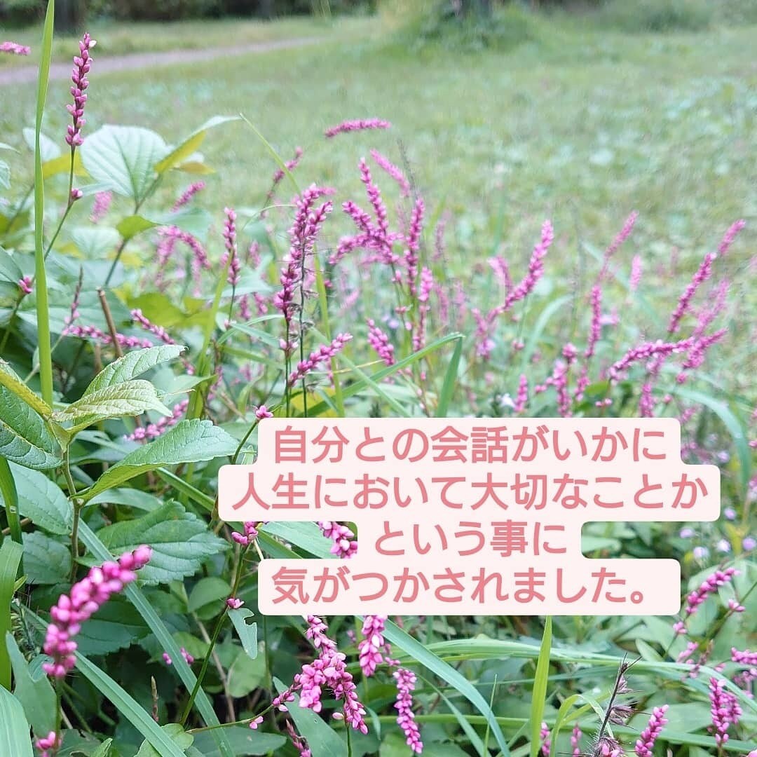 ソウルプラン☆あなたの魂の計画を読み解きます 自分の魂の強み！課題！目指しているゴール！などを知りたい方へ イメージ3