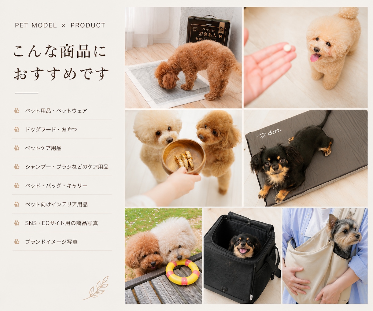 ペット用品の魅力が伝わる動画を撮影します 使用シーンやブランドイメージを映像で表現 イメージ2