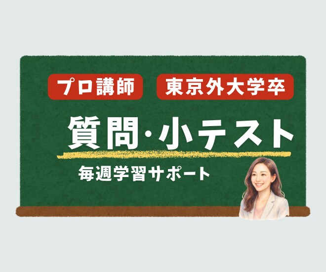 東京外語大卒プロ講師が１か月毎週学習サポートします 質問＋小テストでしっかり身につくコース イメージ1