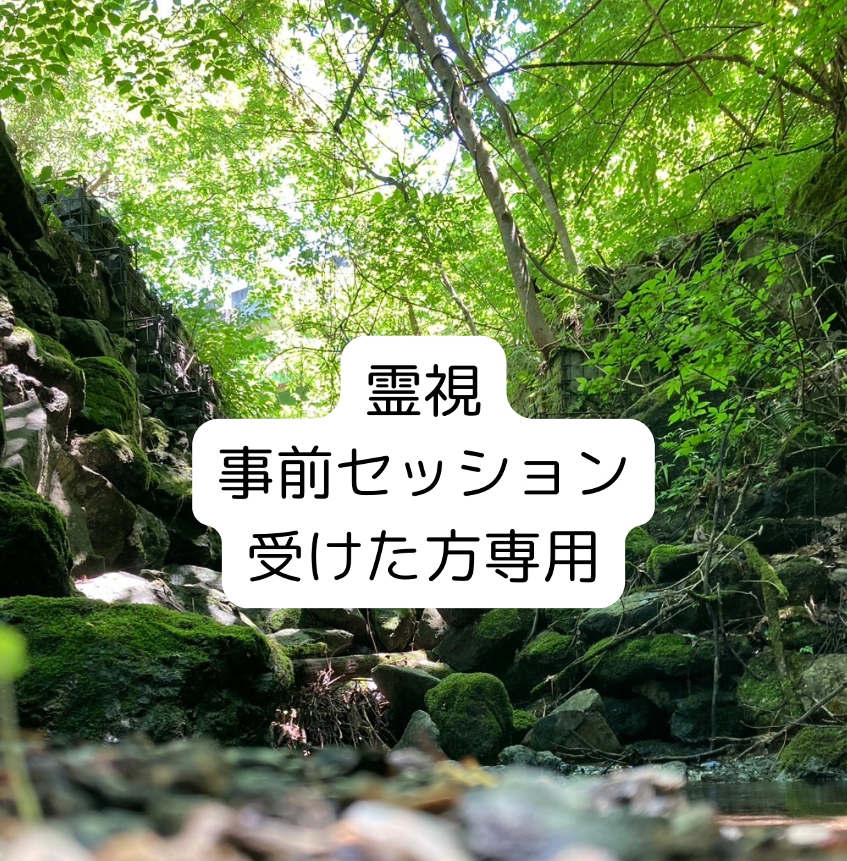 事前セッションを受けた方限定のご案内になります テキストにて事前セッションを受けた方限定の特別なご案内です イメージ1