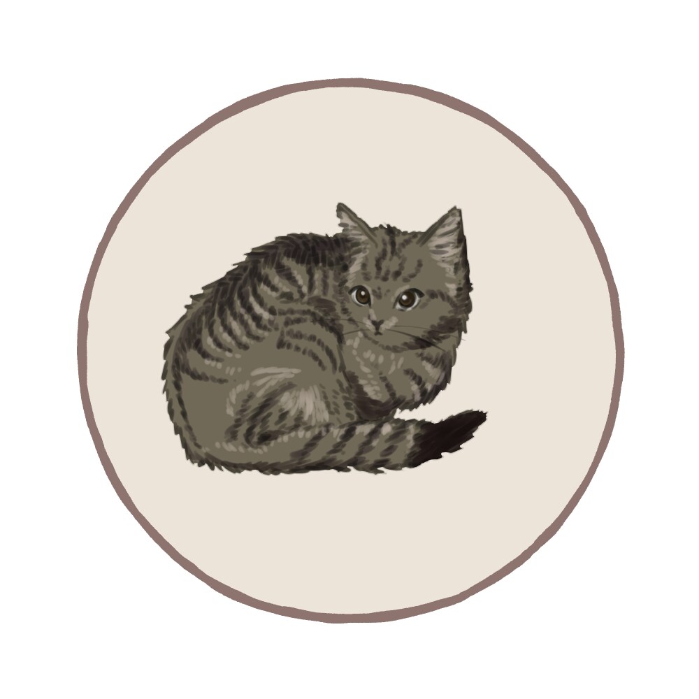 愛嬌のある猫ちゃんのイラストを描きます 可愛い表情で思わず微笑んでしまうふわふわ猫ちゃんイラスト イメージ4