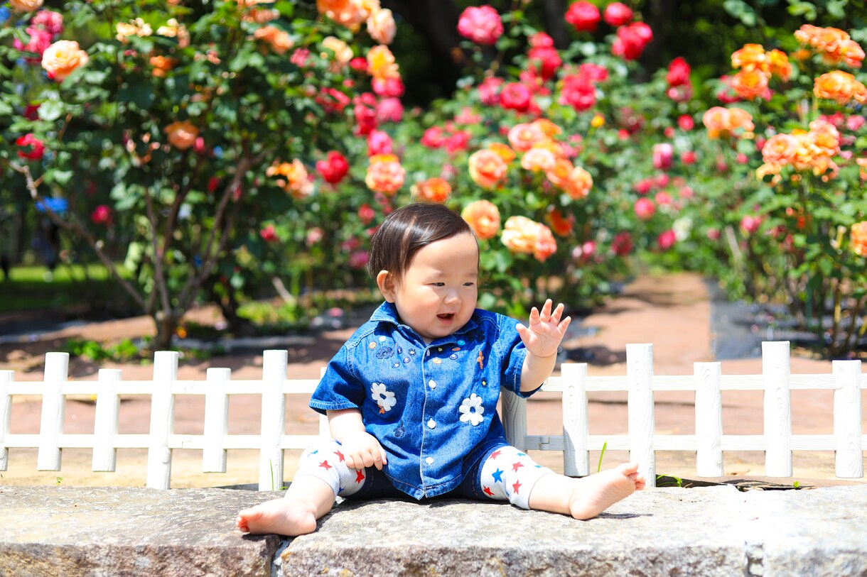 愛知県でのお子様やご家族の出張写真撮影を承ります 全カット納品！大手写真撮影受託会社契約カメラマンが撮影！ イメージ5