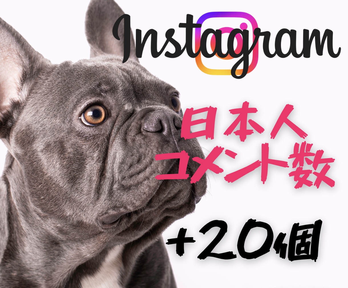 インスタ✨魅力的な日本人コメント付与します あなたの投稿に“共感の声”を届けます✨日本人コメント20件 イメージ1