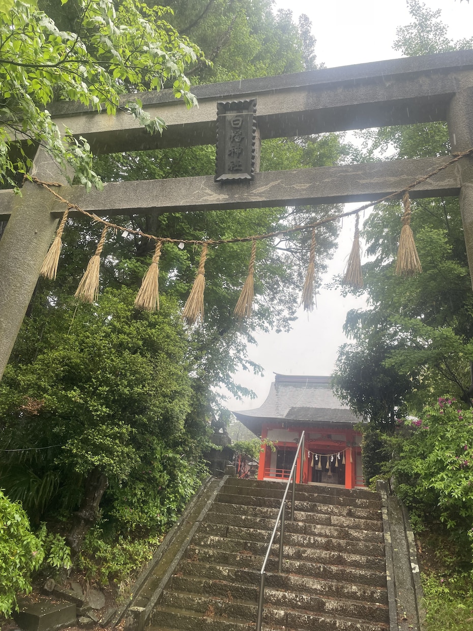 あなたを一生守護する産土神社を鑑定します 自分だけの唯一無二の守護神が、「 最強の開運力」へと導く！ イメージ4