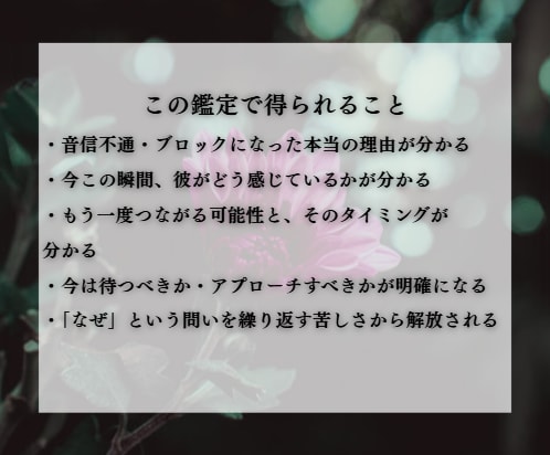 音信不通・LINEブロック｜彼の本音を霊視で視ます 今の彼の気持ちや復縁時期、2人の復縁への可能性深掘りします イメージ4