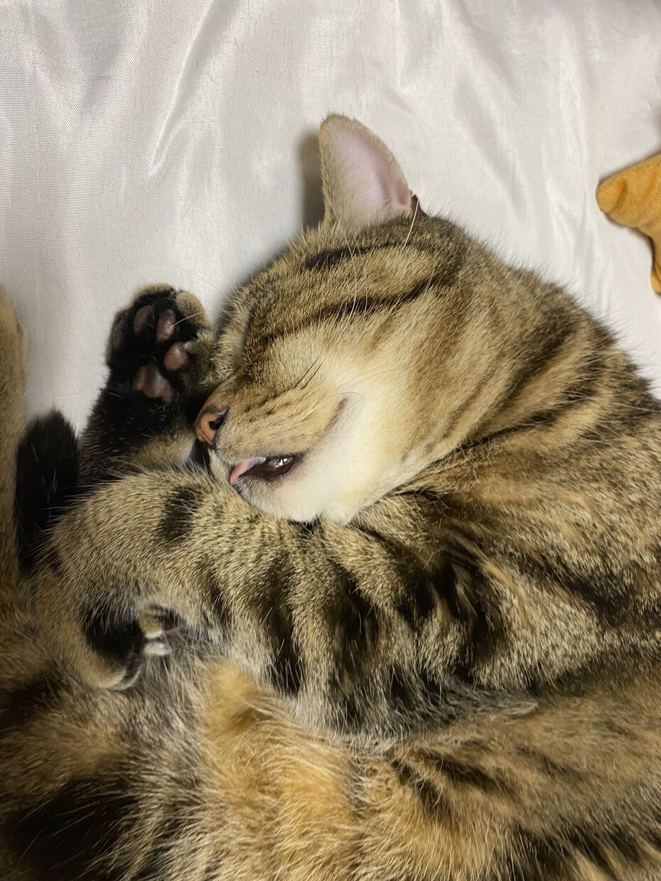 なんでもやります できる限りのことをやらせていただきます。 イメージ1