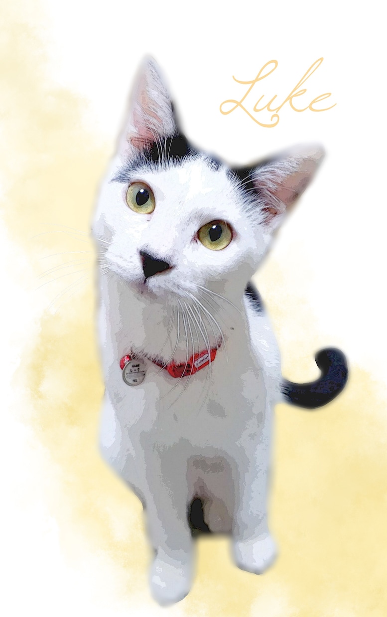 ペットのお写真を素敵なイラスト風に加工します あなたとペット(犬、猫など)の写真も可♪ハガキなどにどうぞ イメージ4