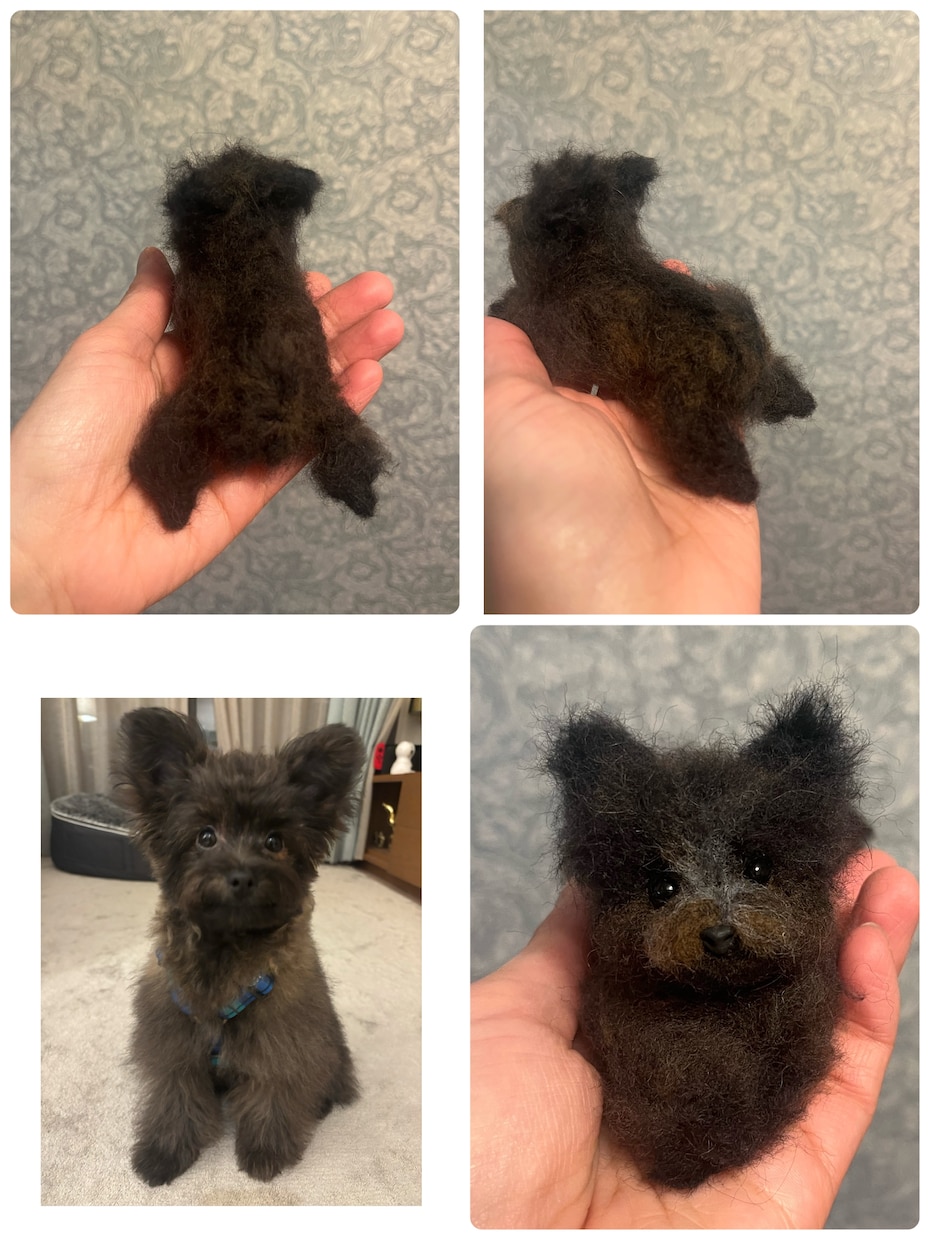 羊毛フェルトで手乗りペットちゃんをお作りします 羊毛在庫の確認の為、ご購入前にお問い合わせ下さいませ。 イメージ1