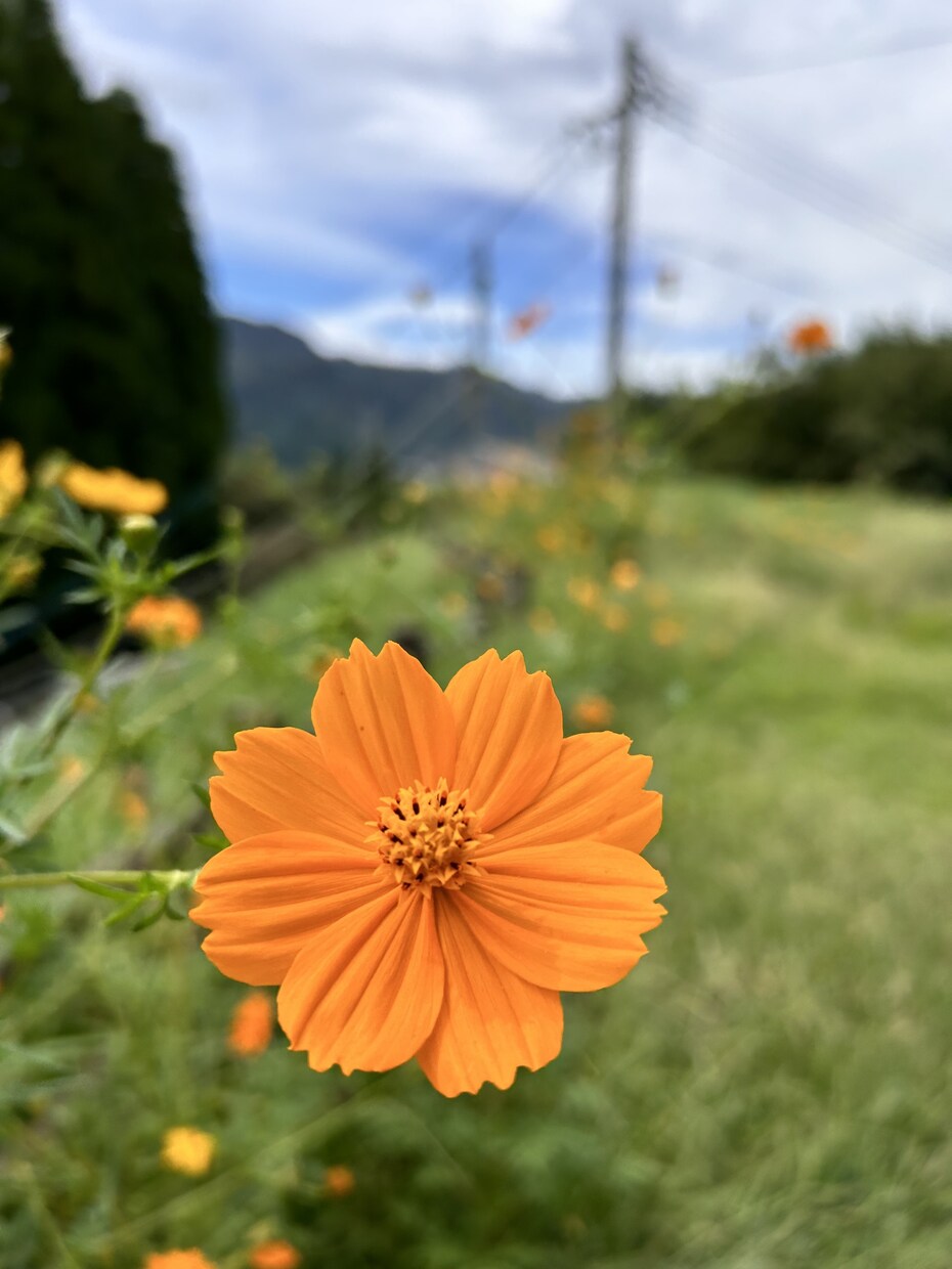 何かモヤモヤしてることがあったらお話聞きます あなたのもやもやなどを少しでも解決！ イメージ1