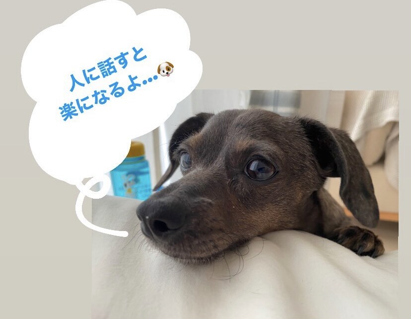 キャリア(人生)に関するモヤモヤの相談に乗ります 仕事や私生活でモヤモヤする…という方へ イメージ1