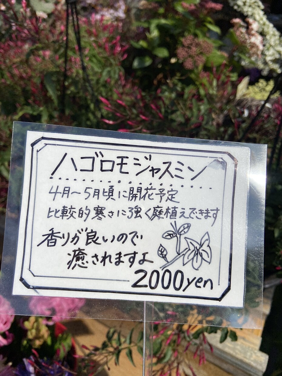 商品を注目したくなるようなPOPを作成します 心地の良い手書きPOPで魅力を伝えよう イメージ9