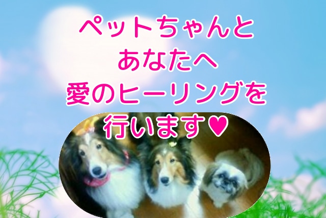 ペットちゃんとあなたへ至福のヒーリングを行います 大人気のペットヒーリングの単発バージョンです イメージ1
