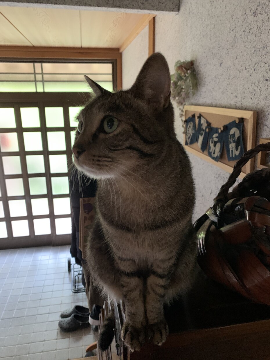 英語教育について相談受付ます 英会話スクールのマネージャーからのアドバイスです。 イメージ2