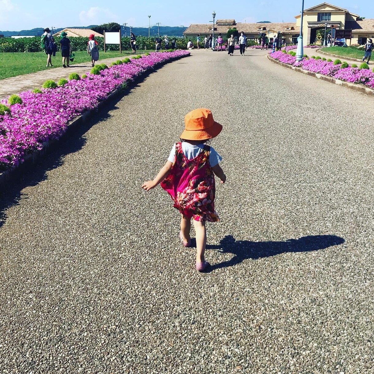 タロット占います こころ穏やかに生きるお手伝いします！ イメージ1
