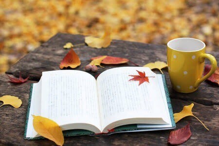 １ヶ月間、あなたの読書に寄り添います 読書が好きな方★感想を共有しながら、楽しい読書にしませんか？ イメージ1