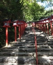 ちょっと聞いてよ椿さん【タロット】 イメージ2