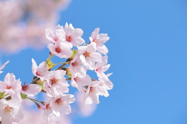 動画付き！あなたの恋愛相談・お話聞きます 1分でもOK✨辛い気持ち、嬉しい気持ち、一緒に寄り添います✨ イメージ6