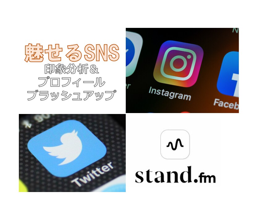 自分らしいと思えるSNSの世界観を構築します 見せ方（ビジュアル）とプロフィールの見直し・提案をします。 イメージ1