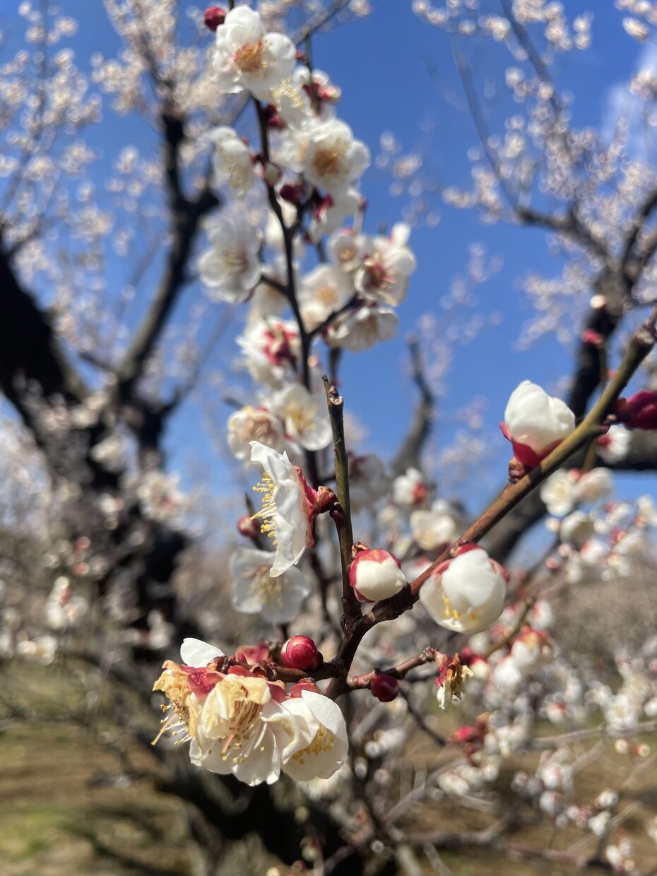 あなたのお話相手になります ちょっとした時間の暇つぶしに。 イメージ1