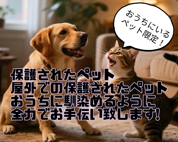 保護犬や保護猫さんが家庭に馴染むお手伝い致します 譲渡されたペット限定！新生活に馴染めるようにお手伝い致します イメージ1